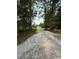 Long gravel driveway leading to a cozy home nestled among mature trees at 6900 Rockland Rd, Stonecrest, GA 30038