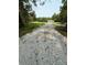 Long gravel driveway surrounded by tall trees, leading to the home at 6900 Rockland Rd, Stonecrest, GA 30038