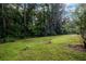 Expansive backyard with well-maintained lawn, perfect for outdoor activities at 3645 Shrewsbury Ct, Snellville, GA 30039