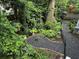 Landscaped backyard featuring a stone pathway, ferns, and flowering plants, creating a serene outdoor retreat at 377 Camden Ne Rd, Atlanta, GA 30309
