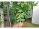 Scenic backyard with mature trees at 4321 Clairesbrook Ln, Acworth, GA 30101