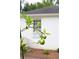Close up of a tree with green apples growing outside the property at 5070 Hensley Dr, Atlanta, GA 30338