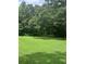 Backyard featuring ample lawn space and shady trees at 4017 S South Bogan Road Rd, Buford, GA 30519