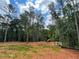 Picture of a vacant grassy lot and wooded area perfect for building a secluded dream home at 3294 Mill Forest Dr, Conyers, GA 30094