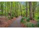 Enjoy nature with this lovely wooded walking path at 1508 Brianwood Rd # 1508, Decatur, GA 30033