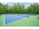 Community pickleball courts surrounded by lush greenery, perfect for recreational play and exercise at 122 Riverbirch Way, Dallas, GA 30157