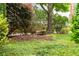 Scenic backyard with a weathered wooden bench nestled among mature trees and lush green grass at 3786 Turnberry Ct, Duluth, GA 30096