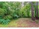 Lush backyard with mature trees, offering a peaceful and private outdoor space, perfect for relaxation and recreation at 5073 Leland Dr, Stone Mountain, GA 30083