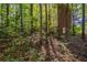 The backyard of this house is heavily wooded with mature trees, plants, and privacy at 402 John Tate Nw Rd, Acworth, GA 30102