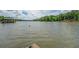 Scenic lake view showcases the serene beauty of the surrounding nature and aquatic landscape at 22 Waters Bridge Cir, Covington, GA 30014