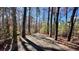 Walking path through the community's wooded area on a sunny day at 1621 Wellborn Walk, Suwanee, GA 30024
