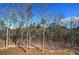Scenic land plot featuring trees, ready for building your dream home or next investment property at 30 Grand Georgian Ne Ct, Cartersville, GA 30121