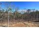 Scenic land plot featuring trees, ready for building your dream home or next investment property at 30 Grand Georgian Ne Ct, Cartersville, GA 30121