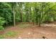 Large, wooded backyard featuring tall trees, natural ground cover, and a partially visible fence line at 1908 Musket Ct, Stone Mountain, GA 30087