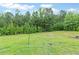 This backyard features a sprawling green lawn, some trees along the fence and a fire pit in the distance at 2241 N 16 Hwy, Whitesburg, GA 30185