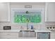 Close-up of the kitchen sink area, highlighting the garden view from the window at 2241 N 16 Hwy, Whitesburg, GA 30185