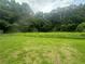 Green backyard of the home, featuring a lush row of bushes at 443 Strawberry Walk, Loganville, GA 30052