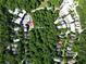 Aerial view of a lot surrounded by lush trees and residences, highlighting its private location at 9071 Selborne Ln, Chattahoochee Hills, GA 30268