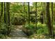 Exterior view of home with a small bridge leading to property surrounded by lush greenery at 9071 Selborne Ln, Chattahoochee Hills, GA 30268