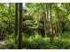 Brick exterior of multi story condo surrounded by lush green trees and foliage at 9071 Selborne Ln, Chattahoochee Hills, GA 30268