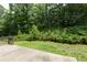 Backyard patio with a view to green grass, mature trees, and foliage beyond at 808 Plaintain Dr, Woodstock, GA 30188