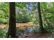 Beautiful pond view surrounded by lush greenery and mature trees at 4665 Idlewood Dr, Cumming, GA 30040