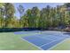 Well-maintained community tennis courts surrounded by lush greenery at 366 Coopers Pond Dr, Lawrenceville, GA 30044