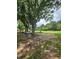 Spacious backyard featuring mature trees and ample space, offering endless possibilities for outdoor activities and relaxation at 1797 Chandler Rd, Lawrenceville, GA 30045