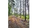 Picture of forested land behind the house and extending down the driveway at 1797 Chandler Rd, Lawrenceville, GA 30045