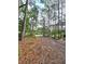 Picture of forested land behind the house and extending down the driveway at 1797 Chandler Rd, Lawrenceville, GA 30045
