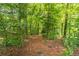 Backyard path leading to a secluded wooded area, enhancing privacy and nature at 4307 Windward Ln, Norcross, GA 30093