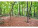 Secluded wooded area with mature trees and natural ground cover, offering a serene and private setting at 3107 Bunker Hill Cir, Marietta, GA 30062