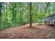 Wooded backyard with a chainlink fence, trees, and foliage at 5317 Highway 81, Loganville, GA 30052