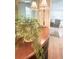 Inviting foyer with plants and hardwood flooring at 110 Windsor Chase Dr, Lawrenceville, GA 30043