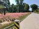 Scenic walking path with lush, pink wildflowers lining the side, perfect for enjoying nature at 1062 Lena Nw St, Atlanta, GA 30314