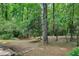 Expansive backyard with mature trees, lush greenery, and a hidden treehouse, creating a private oasis at 2233 Clairmont Ne Rd, Atlanta, GA 30329