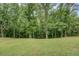 Expansive backyard featuring a lush green lawn and mature trees at 170 Hidden Pines Dr, Covington, GA 30016