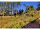Well-maintained dog park with grassy areas and secure fencing at 2479 Peachtree Ne Rd # 1703, Atlanta, GA 30305