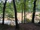View of the river from the backyard in a lush and serene setting at 6185 Masters Club Dr, Suwanee, GA 30024