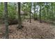 View of the treed backyard behind the home with tiered landscaping and a deck at 6185 Masters Club Dr, Suwanee, GA 30024