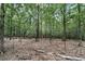 Wooded backyard with a tree lined perimeter at 6185 Masters Club Dr, Suwanee, GA 30024
