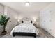 Modern bedroom with dark-frame bed, side tables with lamps, a potted plant and large closet at 3291 Meadow Lily Ct, Buford, GA 30519