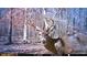 Trail camera shot of a large buck in the woods. Wildlife abounds on the property! at 654 Cannon Rd, Sharpsburg, GA 30277