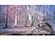 Another trail camera shot of a buck walking through the woods. Wildlife abounds on the property! at 654 Cannon Rd, Sharpsburg, GA 30277