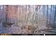 Trail camera shot of a deer herd in the woods. Wildlife abounds on the property! at 654 Cannon Rd, Sharpsburg, GA 30277