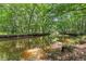 Scenic view of a tranquil river or stream, surrounded by dense trees, offering a peaceful and natural setting at 654 Cannon Rd, Sharpsburg, GA 30277