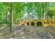 Backyard featuring a stone bridge element surrounded by lush greenery and trees at 6520 Indian Acres Trl, Tucker, GA 30084