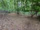 Expansive wooded backyard, providing a tranquil and private setting with mature trees at 3962 Fox Glen Dr, Woodstock, GA 30189