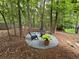 Scenic backyard featuring trees and a fire pit at 3962 Fox Glen Dr, Woodstock, GA 30189