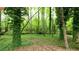 Backyard of mature trees and green groundcover creates a private oasis at 3875 Wintergreen Ct, Marietta, GA 30062